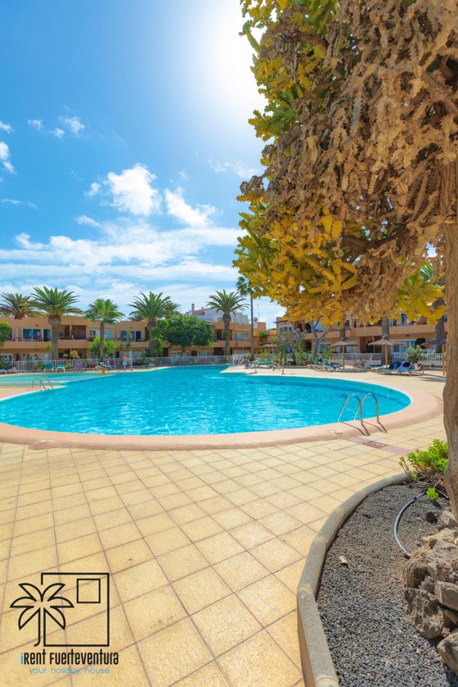 Apartamento Hola Bent Pool And Terrace Irent Fuerteventura Corralejo Exterior foto